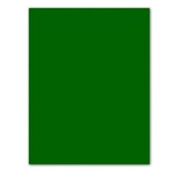 Cartoncini Iris Verde 50 x 65 cm