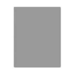Cartoncini Iris Grigio Perla 50 x 65 cm