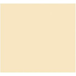 Cartoncini Iris Beige 50 x 65 cm