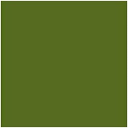 Cartoncini Iris Verde militare 50 x 65 cm