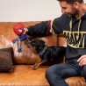 Giocattoli per cani Spider-Man Rosso