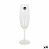 Calice da champagne Crystalex Lara Cristallo 220 ml Champagne 6 Pezzi (6 Unità) (4 Unità)