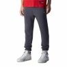 Pantalone per Adulti Champion  Cuff Legacy  Grigio Uomo