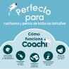 Manubrio Coachi TRAINING DUMBBELL Azzurro