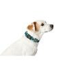 Collare per Cani Hunter Turchese 12