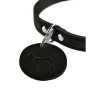 Collare per Cani Hunter Aalborg Nero XS 24-29 cm