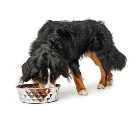 Ciotola per cani Hunter Silicone Acciaio inossidabile 4,1 L