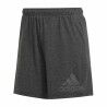 Pantaloncini Sportivi da Donna Adidas Future Icons Winners Grigio scuro