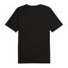 Maglia a Maniche Corte Uomo Puma GRAPHICS Mountain